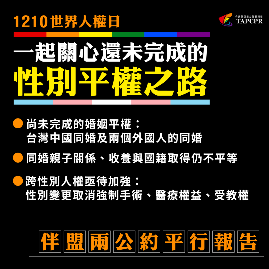 2025伴盟兩公約平行報告